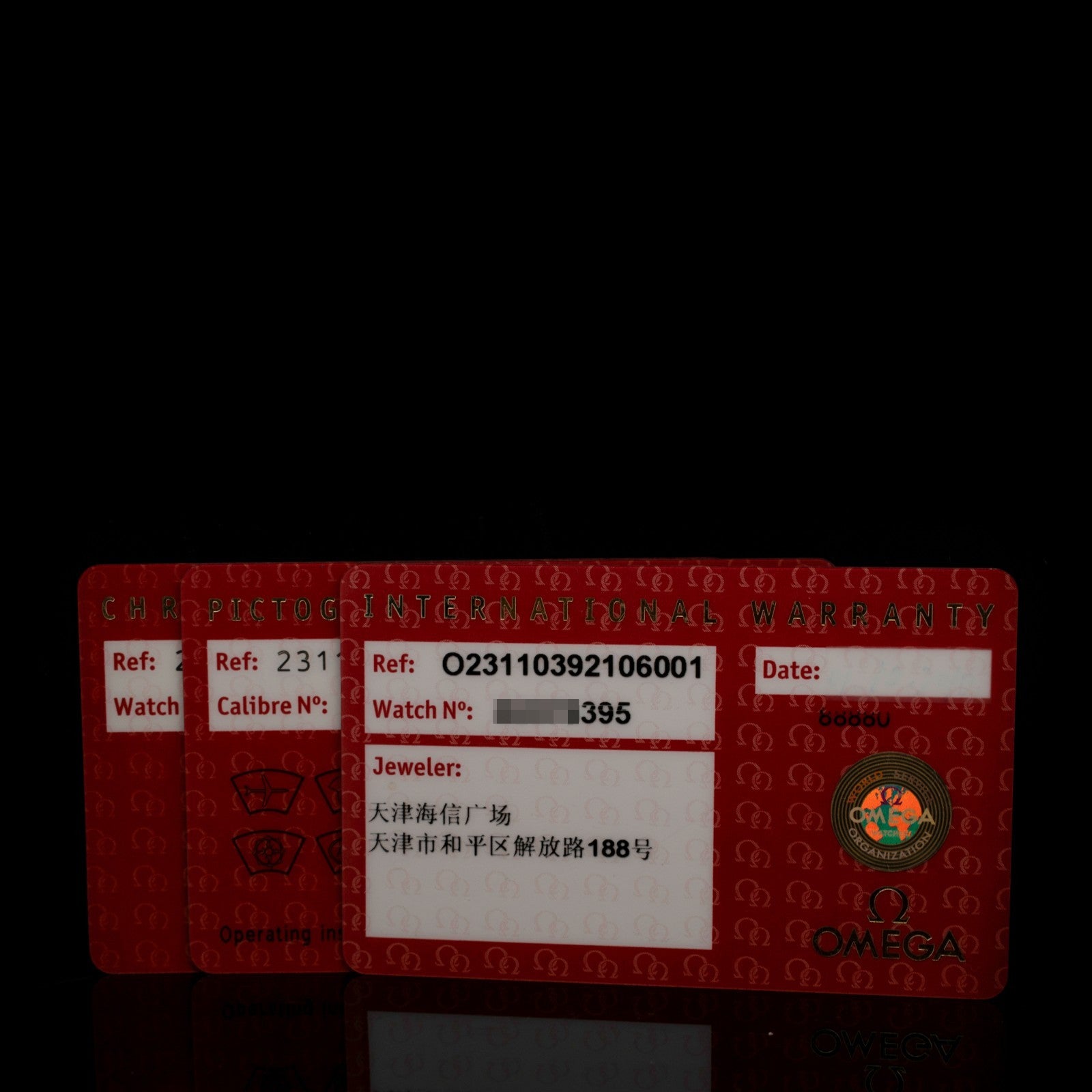 Omega Seamaster Aqua Terra  | Grey Teak Dial | Ref. 231.10.39.21.06.001 | Cards